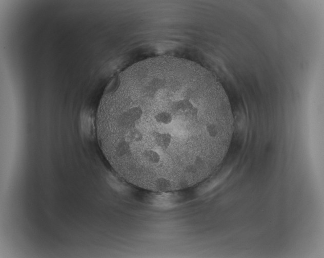 X0000111250527200907021434