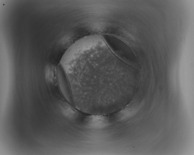 X0000111250528200907021434