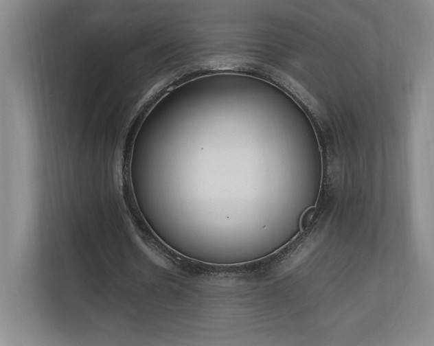 X0000111250530200907021433