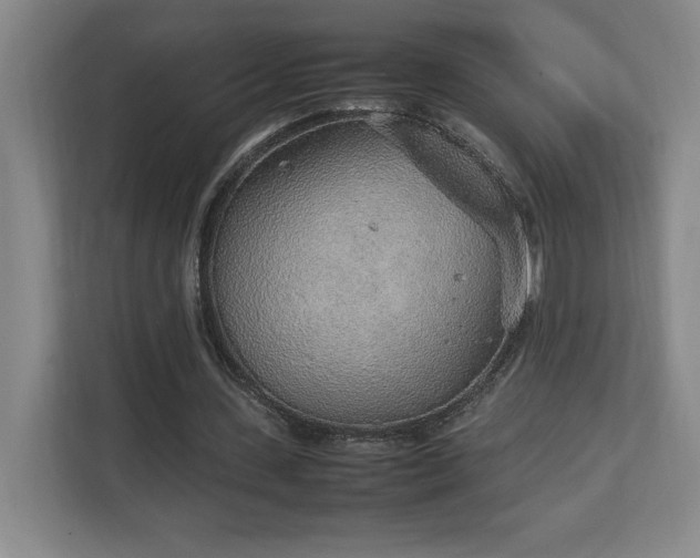 X0000111250531200907021433