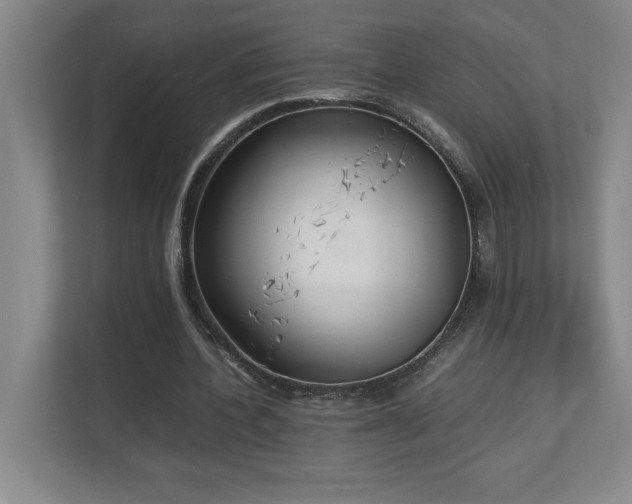 X0000111250532200907021433
