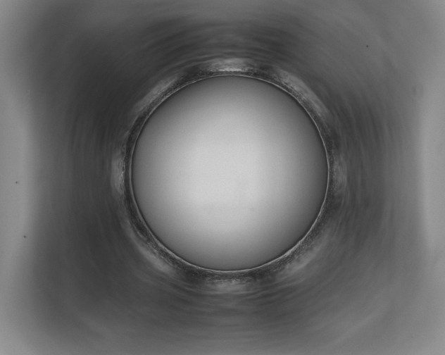 X0000111250533200907021433