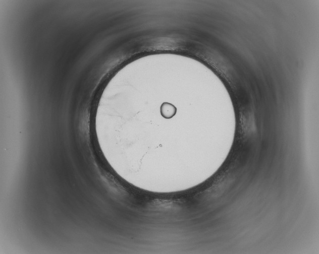X0000111250534200907021433