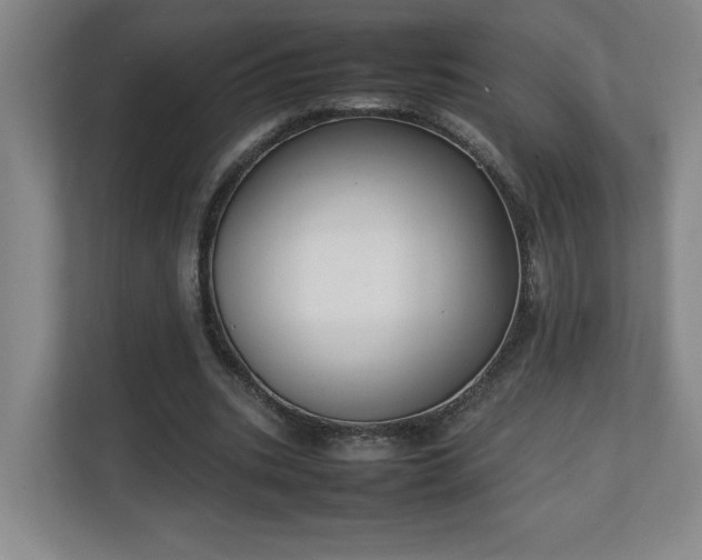 X0000111250535200907021433