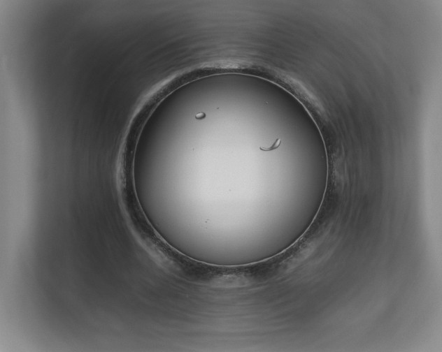 X0000111250536200907021433