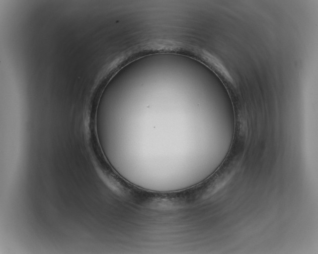X0000111250538200907021433