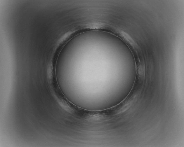 X0000111250540200907021433