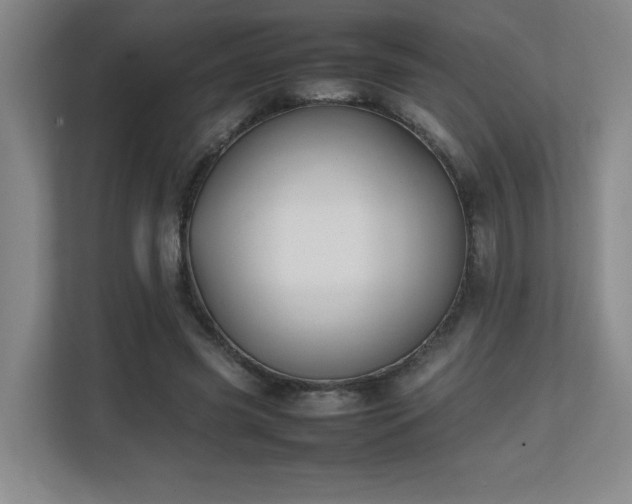 X0000111250541200907021433