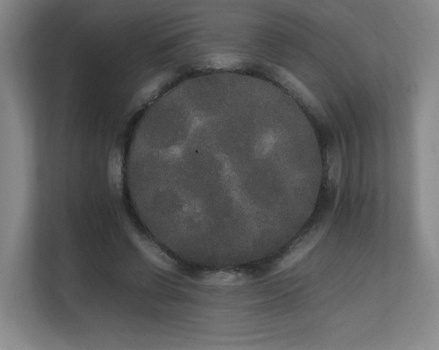 X0000111250542200907021433