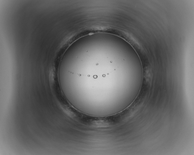 X0000111250544200907021433