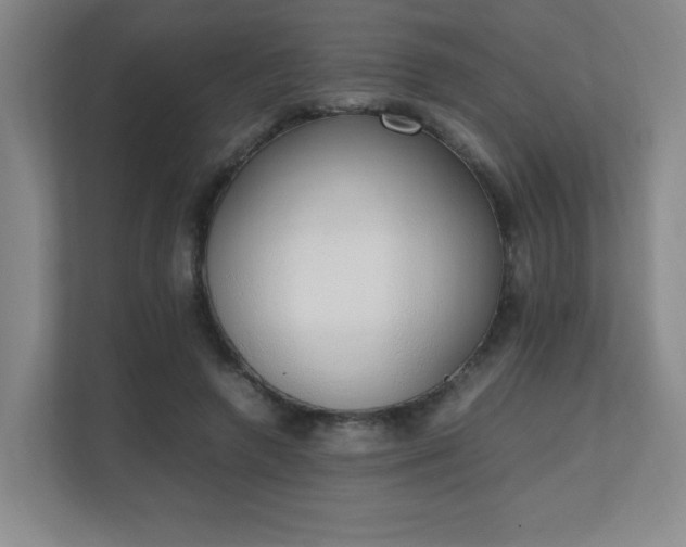 X0000111250546200907021433
