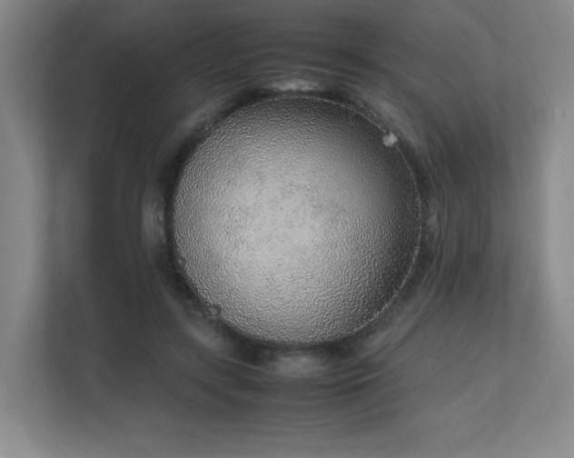 X0000111250547200907021433