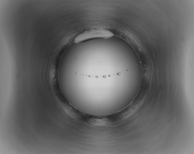 X0000111250548200907021433