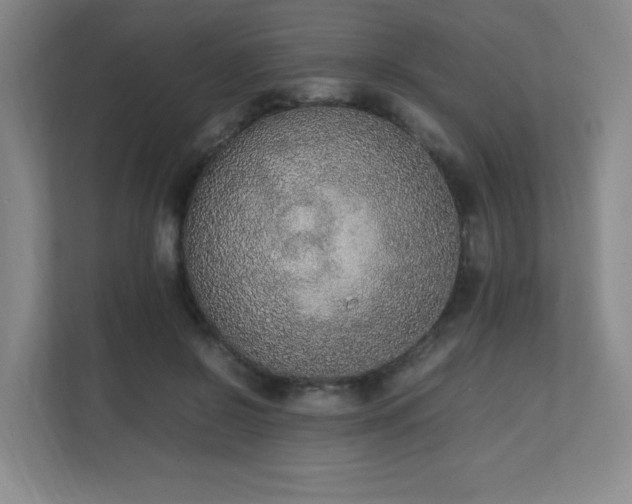 X0000111250550200907021433