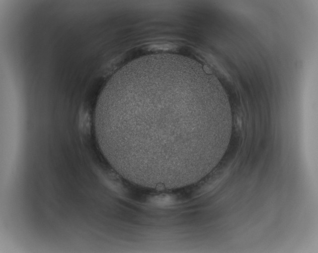 X0000111250551200907021433