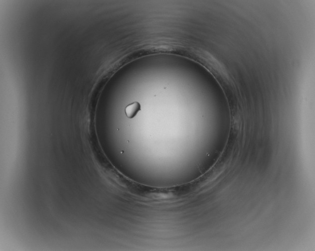 X0000111250552200907021433
