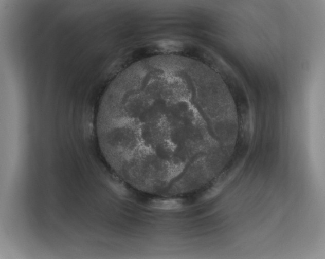X0000111250553200907021433