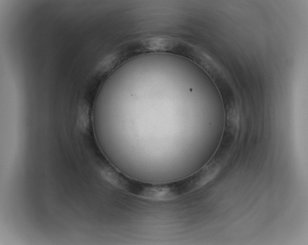 X0000111250554200907021433