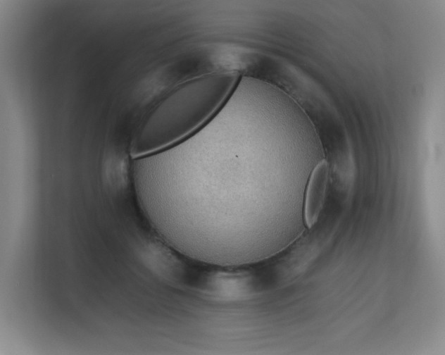 X0000111250556200907021433