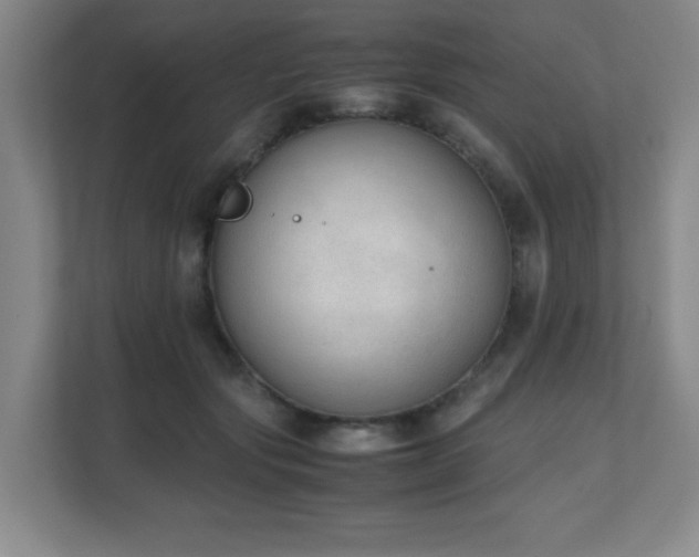 X0000111250557200907021433