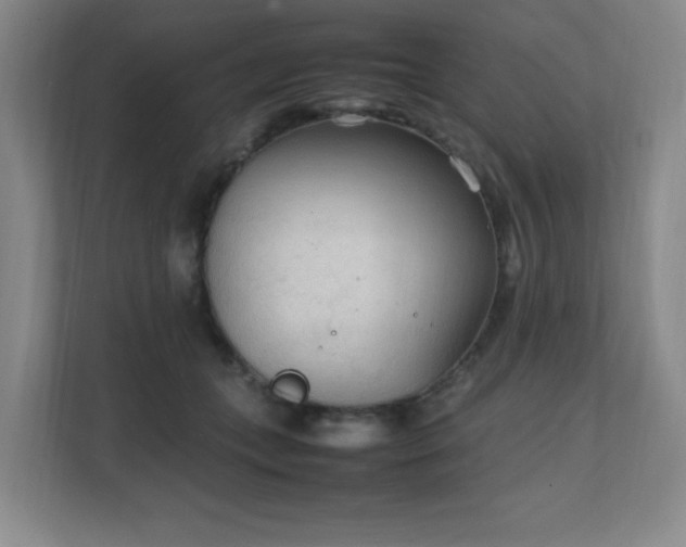 X0000111250559200907021433