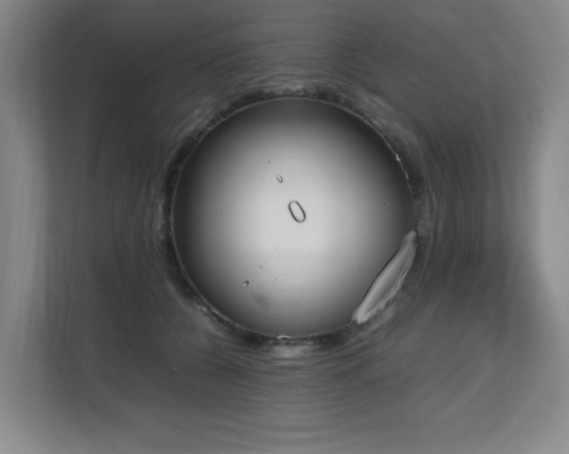 X0000111250560200907021433