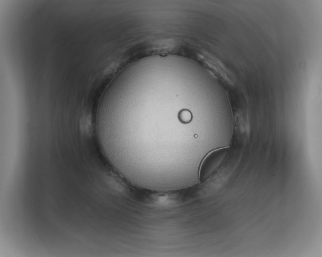 X0000111250564200907021433