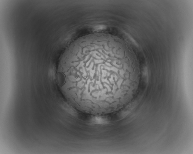 X0000111250565200907021433