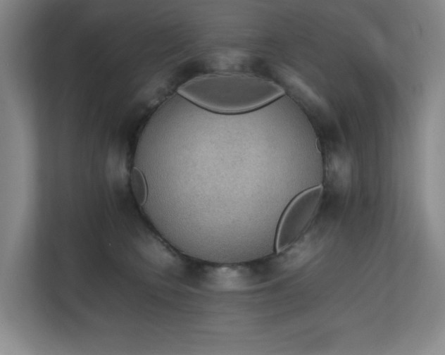 X0000111250566200907021433