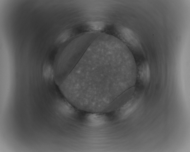 X0000111250568200907021433