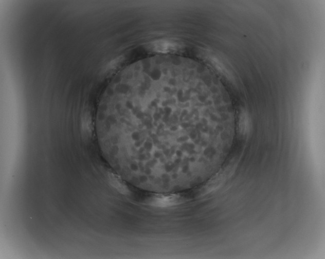 X0000111250569200907021433