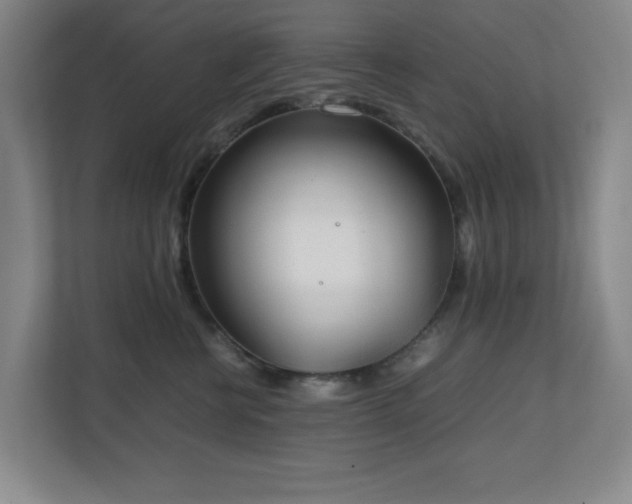 X0000111250570200907021433