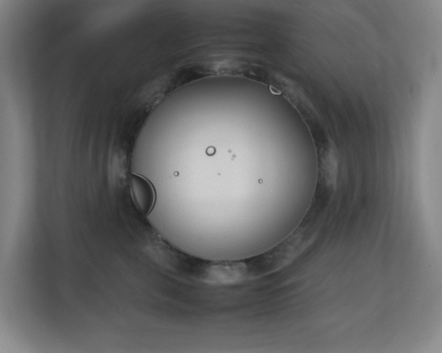 X0000111250571200907021433