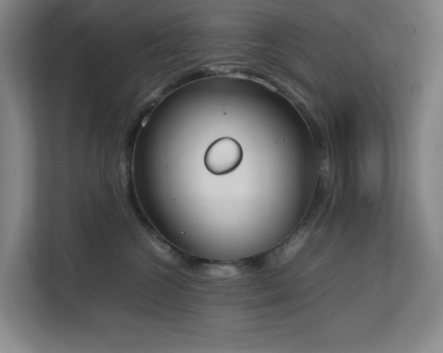 X0000111250572200907021433