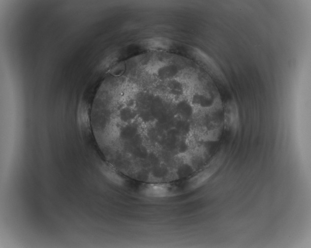 X0000111250573200907021433