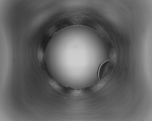 X0000111250574200907021433