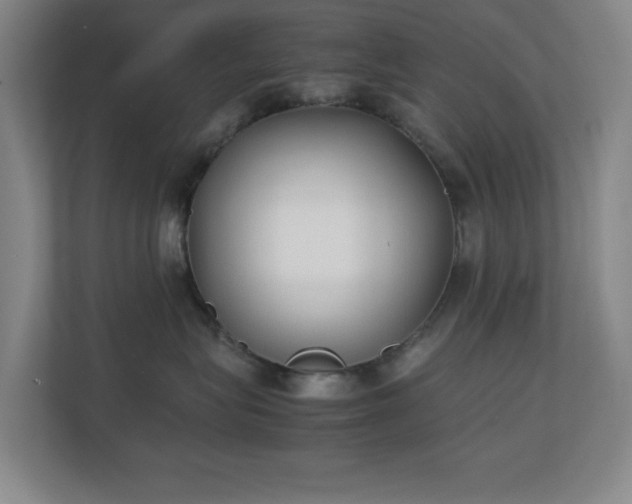 X0000111250575200907021433