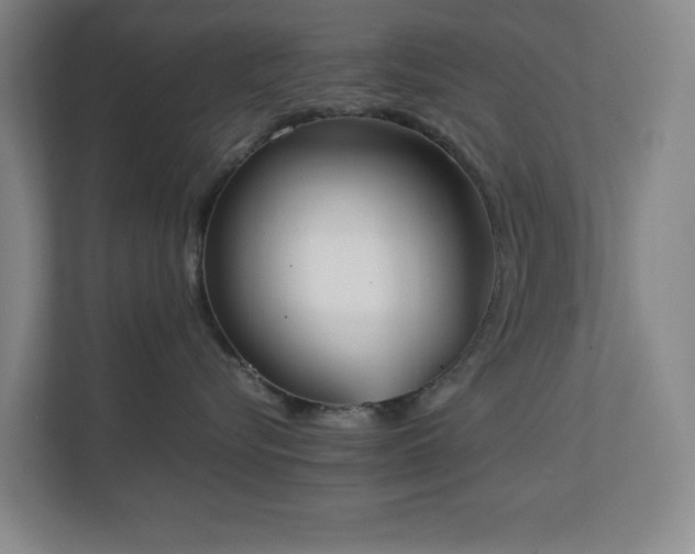 X0000111250576200907021433