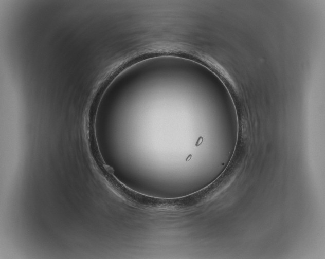 X0000111250581200907021433