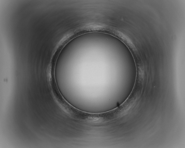 X0000111250582200907021433