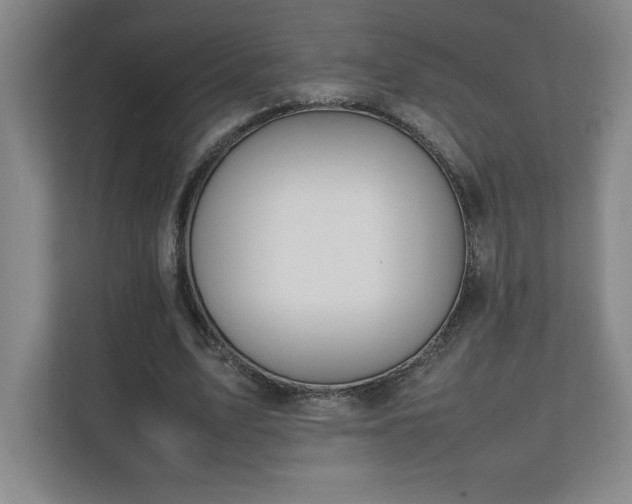 X0000111250583200907021433