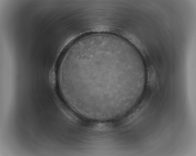 X0000111250584200907021433