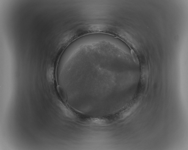 X0000111250585200907021433