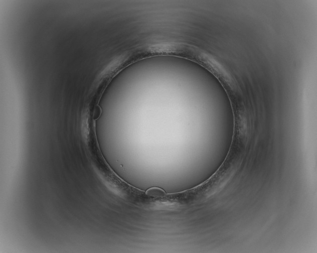 X0000111250586200907021433