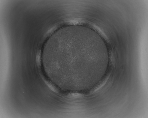 X0000111250590200907021433