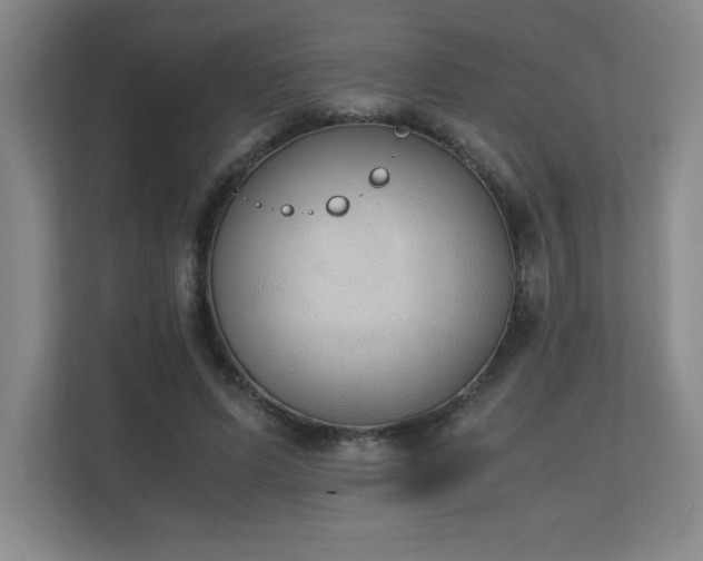 X0000111250591200907021433