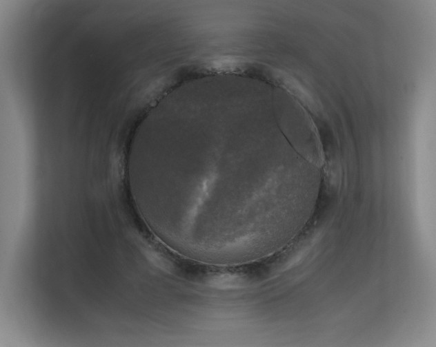 X0000111250593200907021433