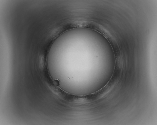 X0000111250594200907021433