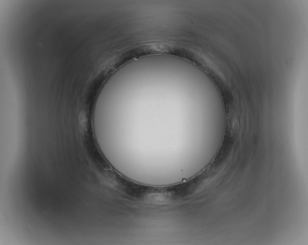 X0000111250595200907021433