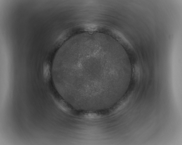X0000111250598200907021433